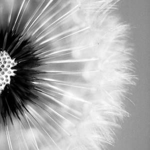 Meet your Posher, Kimeam